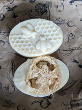 Luffa Soap Combo Luna's Lavender scented Shampoo & Body Bar
