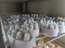 Holler Hippie Scrubby Spa Shape Shampoo & Body Bar