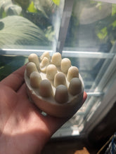 Holler Hippie Scrubby Spa Shape Shampoo & Body Bar